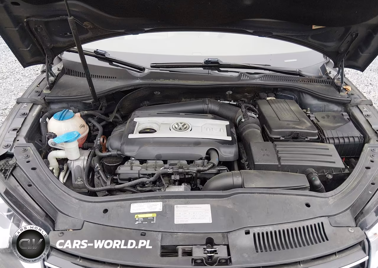 2013 Volkswagen Eos Lux VIN:WVWFW8AHXDV001984 - 10