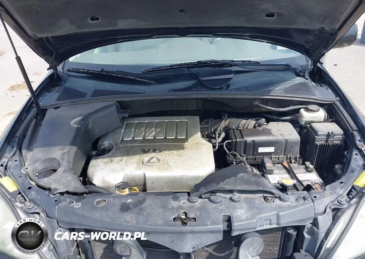 2007 Lexus Rx 350 VIN:2T2HK31U97C020016 - 10