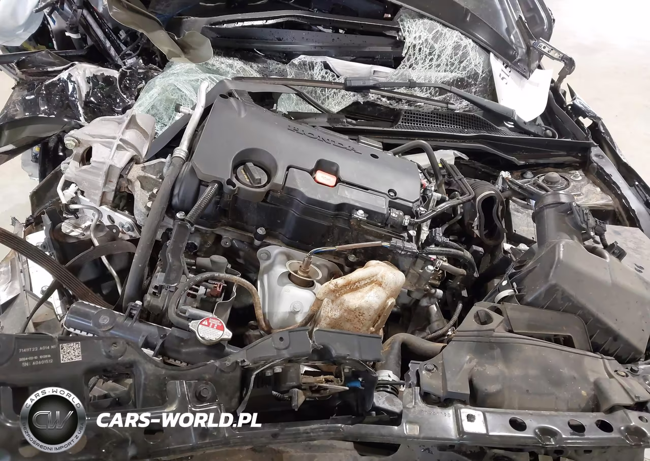 2024 Honda Civic Sport VIN:2HGFE2F5XRH555221 - 10