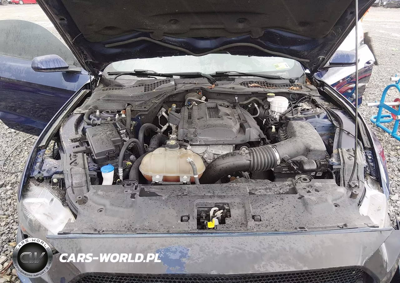 2020 Ford Mustang Ecoboost Fastback VIN:1FA6P8TH2L5108493 - 10