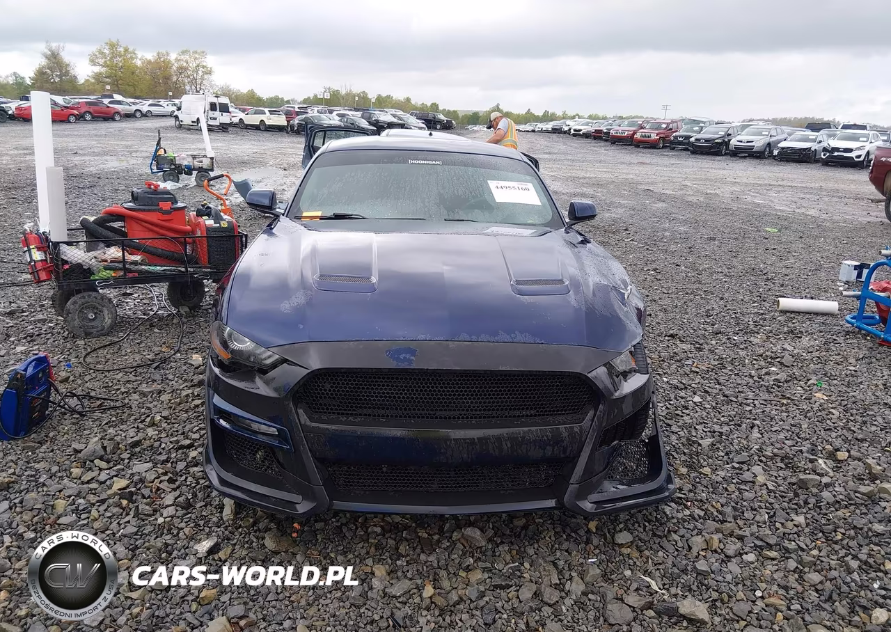 2020 Ford Mustang Ecoboost Fastback VIN:1FA6P8TH2L5108493 - 12