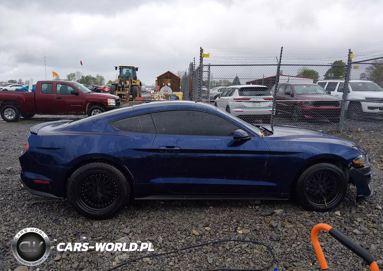 2020 Ford Mustang Ecoboost Fastback VIN:1FA6P8TH2L5108493 - 13