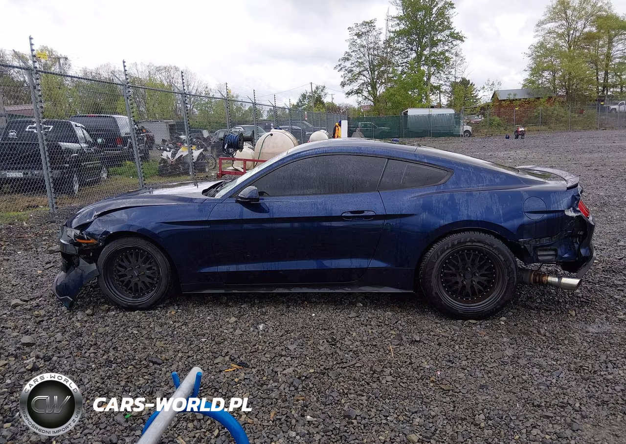 2020 Ford Mustang Ecoboost Fastback VIN:1FA6P8TH2L5108493 - 14