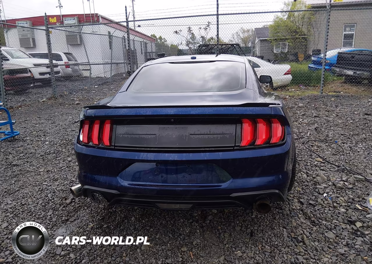 2020 Ford Mustang Ecoboost Fastback VIN:1FA6P8TH2L5108493 - 16