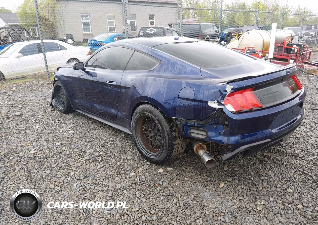 2020 Ford Mustang Ecoboost Fastback VIN:1FA6P8TH2L5108493 - 3