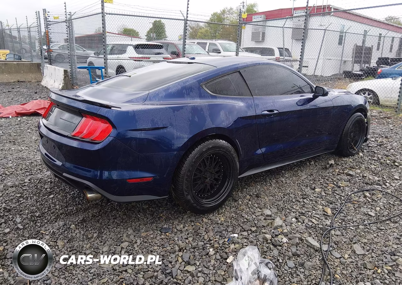 2020 Ford Mustang Ecoboost Fastback VIN:1FA6P8TH2L5108493 - 4