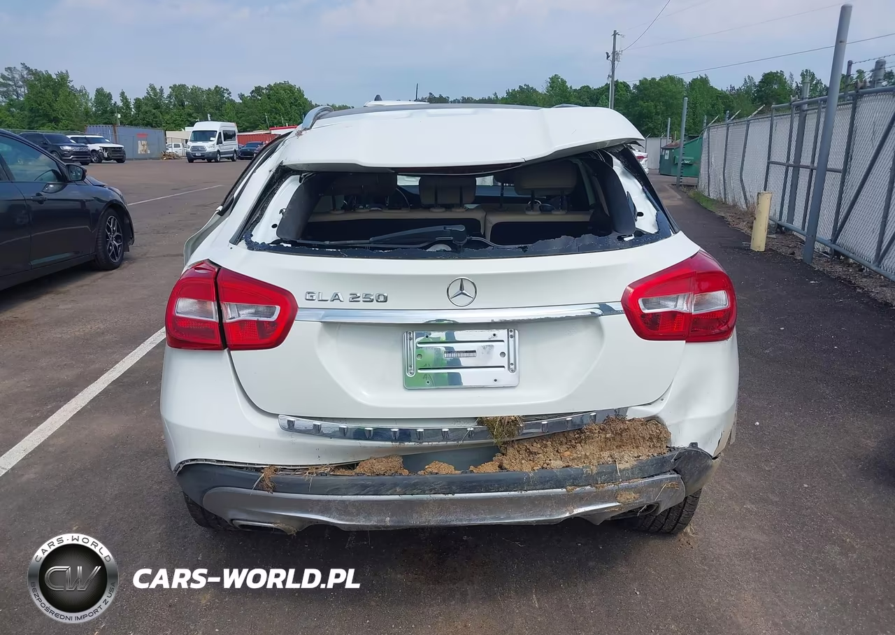 2016 Mercedes-Benz Gla 250 VIN:WDCTG4EB8GJ204697 - 17