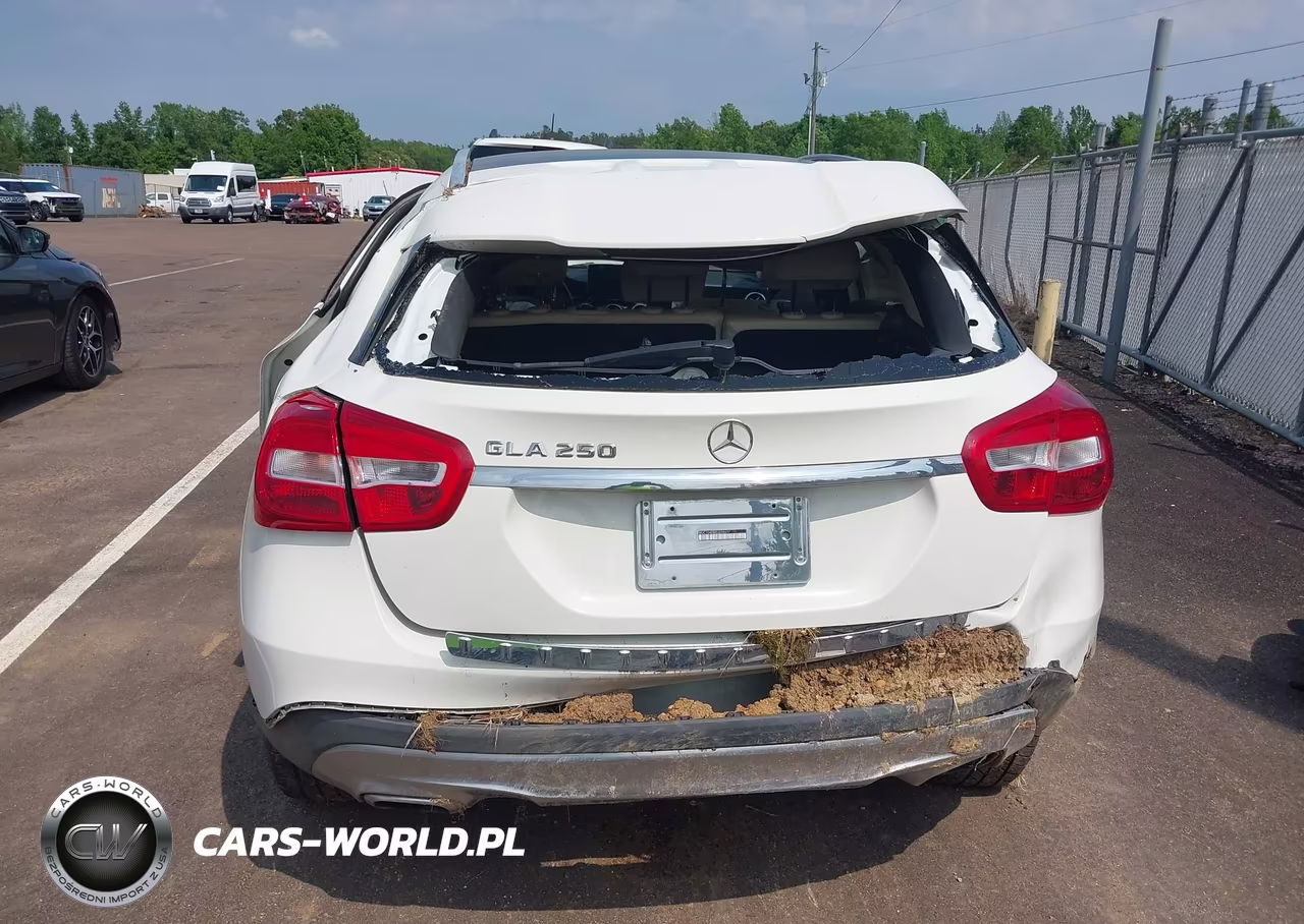 2016 Mercedes-Benz Gla 250 VIN:WDCTG4EB8GJ204697 - 19
