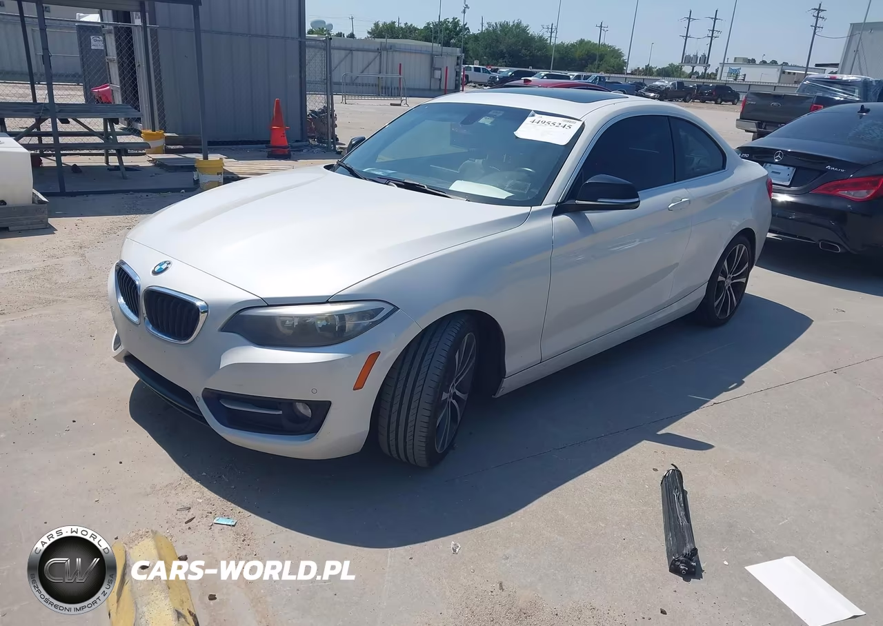 2014 BMW 228I VIN:WBA1F5C59EV255972 - 2