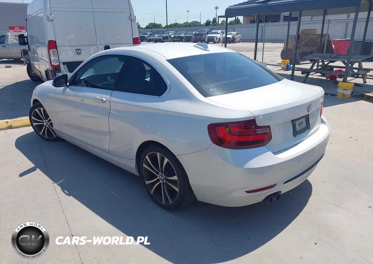 2014 BMW 228I VIN:WBA1F5C59EV255972 - 3