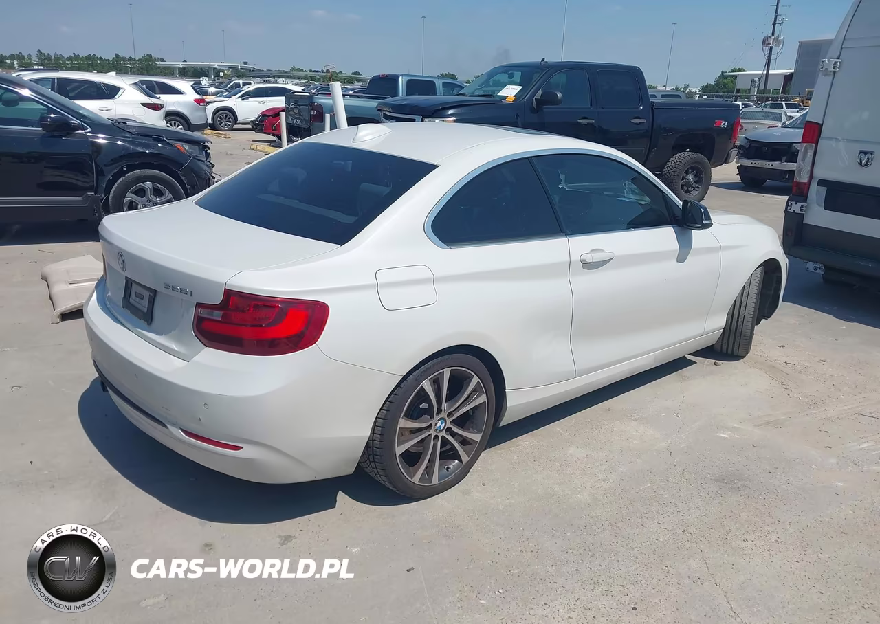 2014 BMW 228I VIN:WBA1F5C59EV255972 - 4
