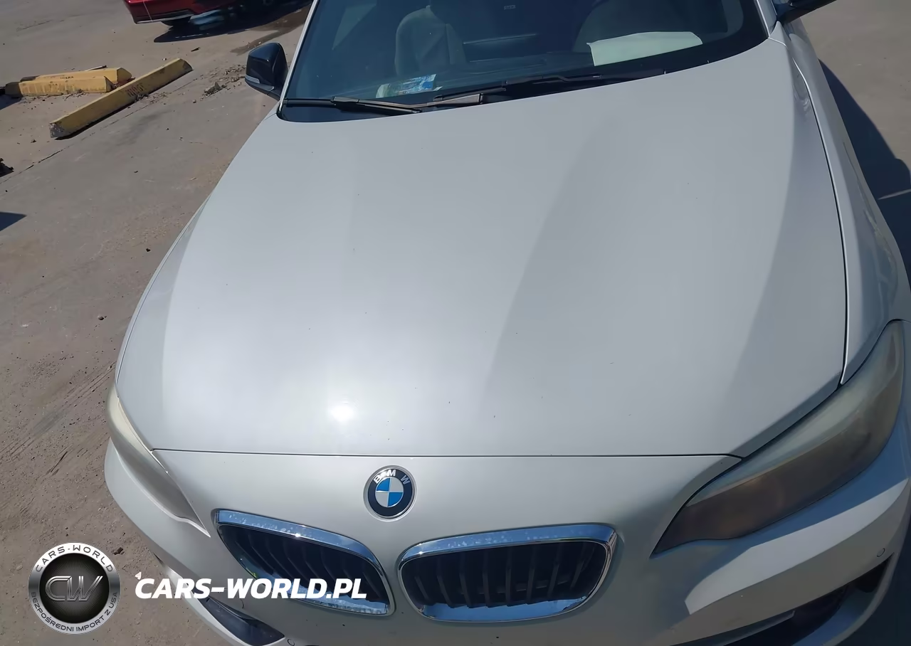 2014 BMW 228I VIN:WBA1F5C59EV255972 - 6