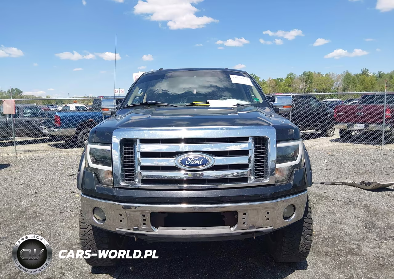 2010 Ford F-150 VIN:1FTFW1EV8AFA01737 - 12