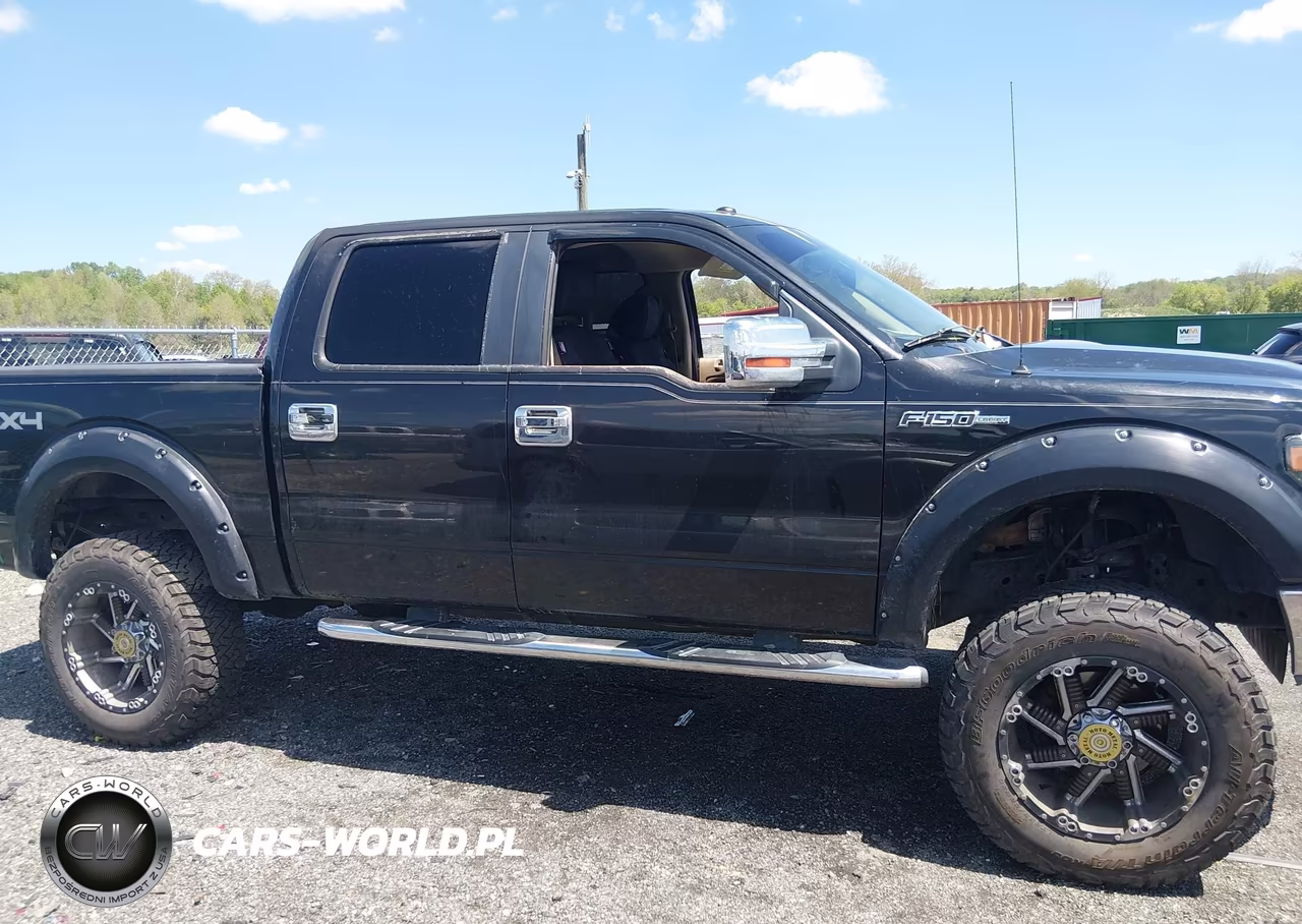 2010 Ford F-150 VIN:1FTFW1EV8AFA01737 - 13