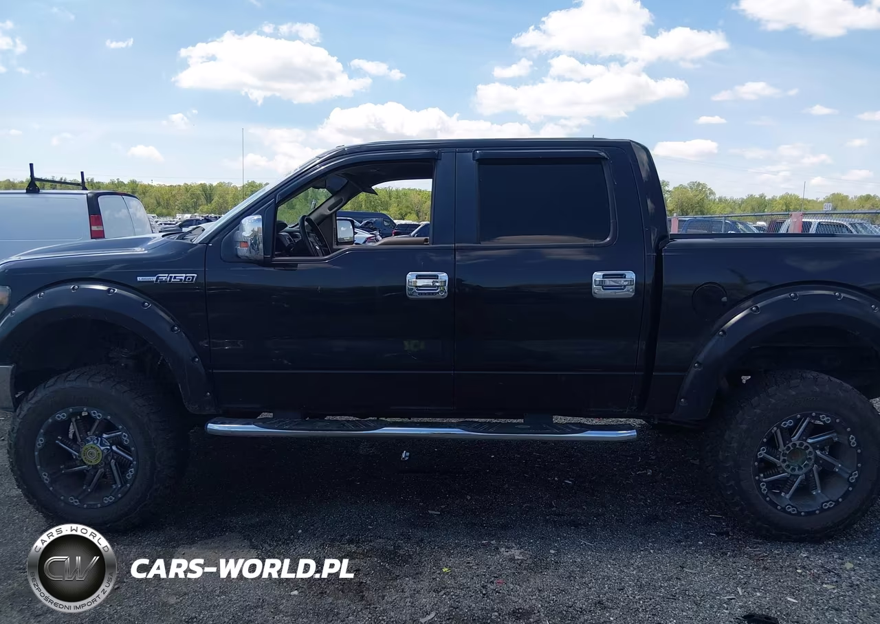 2010 Ford F-150 VIN:1FTFW1EV8AFA01737 - 14