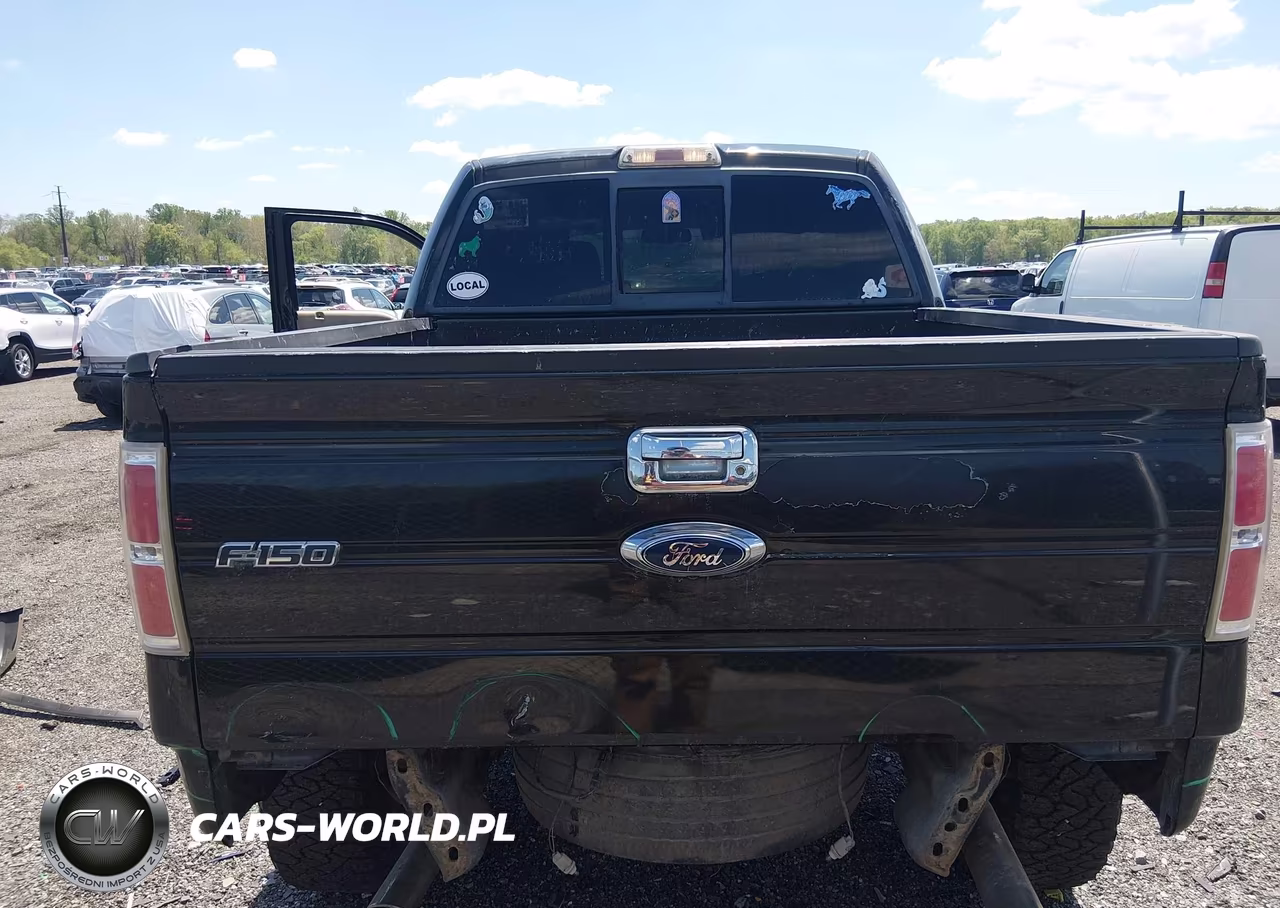 2010 Ford F-150 VIN:1FTFW1EV8AFA01737 - 16