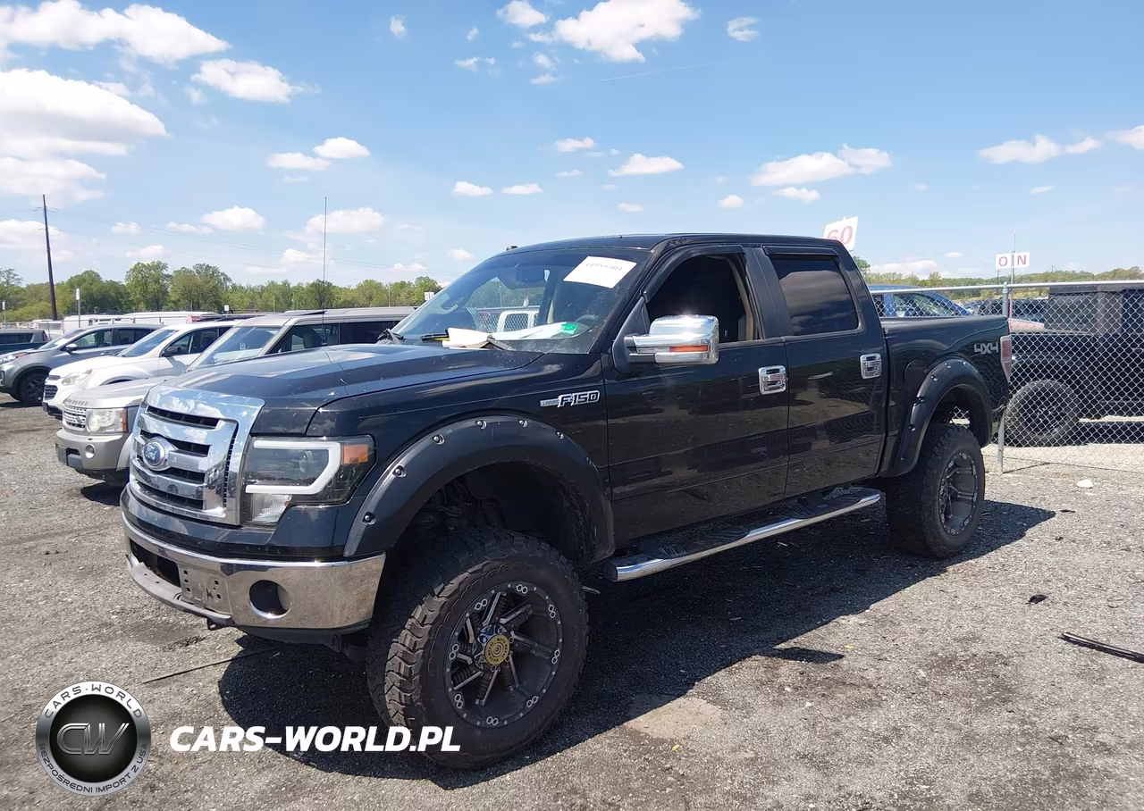 2010 Ford F-150 VIN:1FTFW1EV8AFA01737 - 2