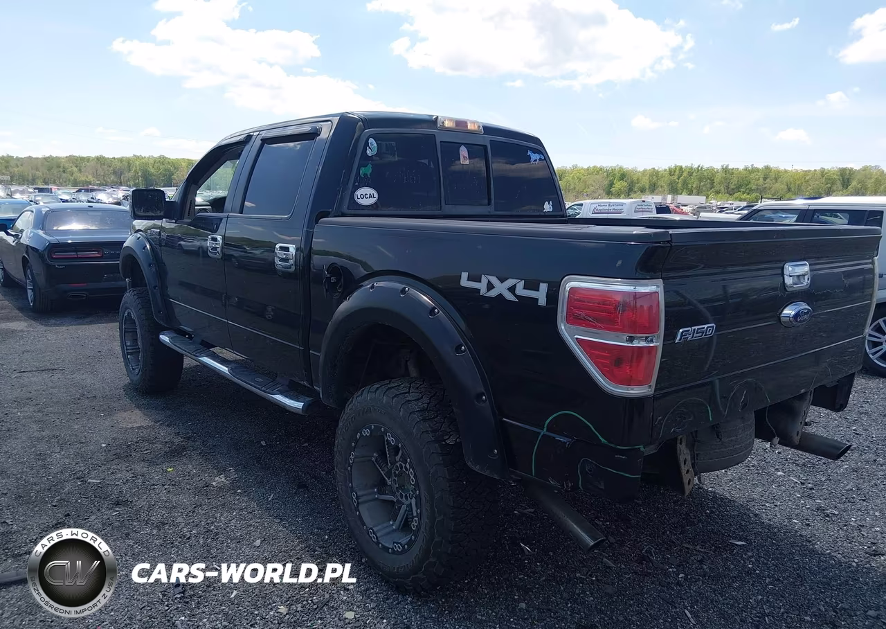 2010 Ford F-150 VIN:1FTFW1EV8AFA01737 - 3
