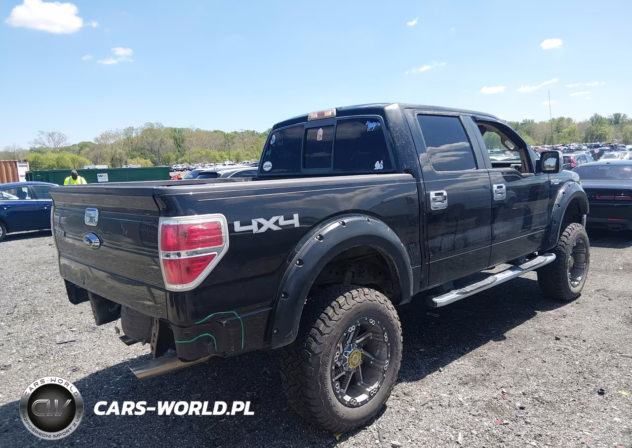 2010 Ford F-150 VIN:1FTFW1EV8AFA01737 - 4