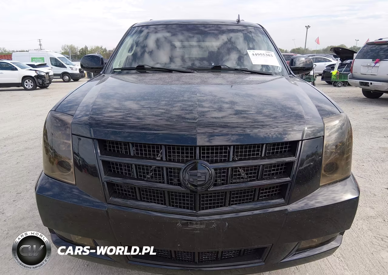 2013 Cadillac Escalade Premium VIN:1GYS4CEF3DR104473 - 12