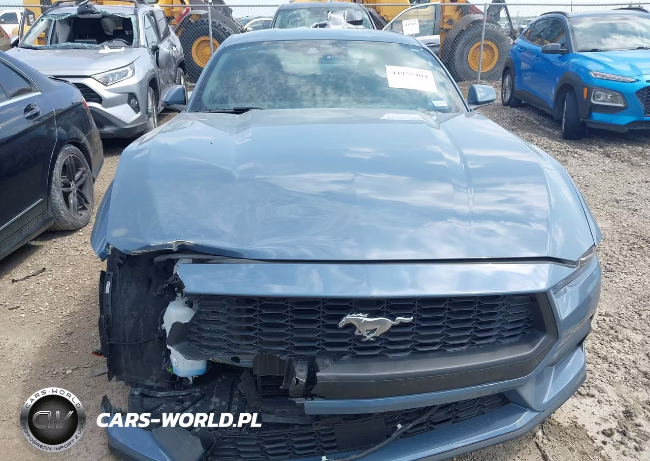 2025 Ford Mustang Ecoboost Fastback VIN:1FA6P8THXS5104089 - 13