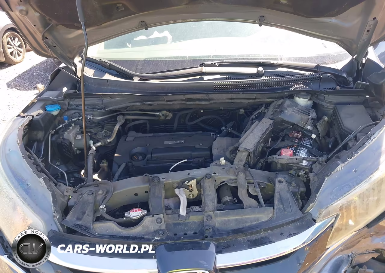 2016 Honda Cr-V Lx VIN:2HKRM4H36GH657769 - 10