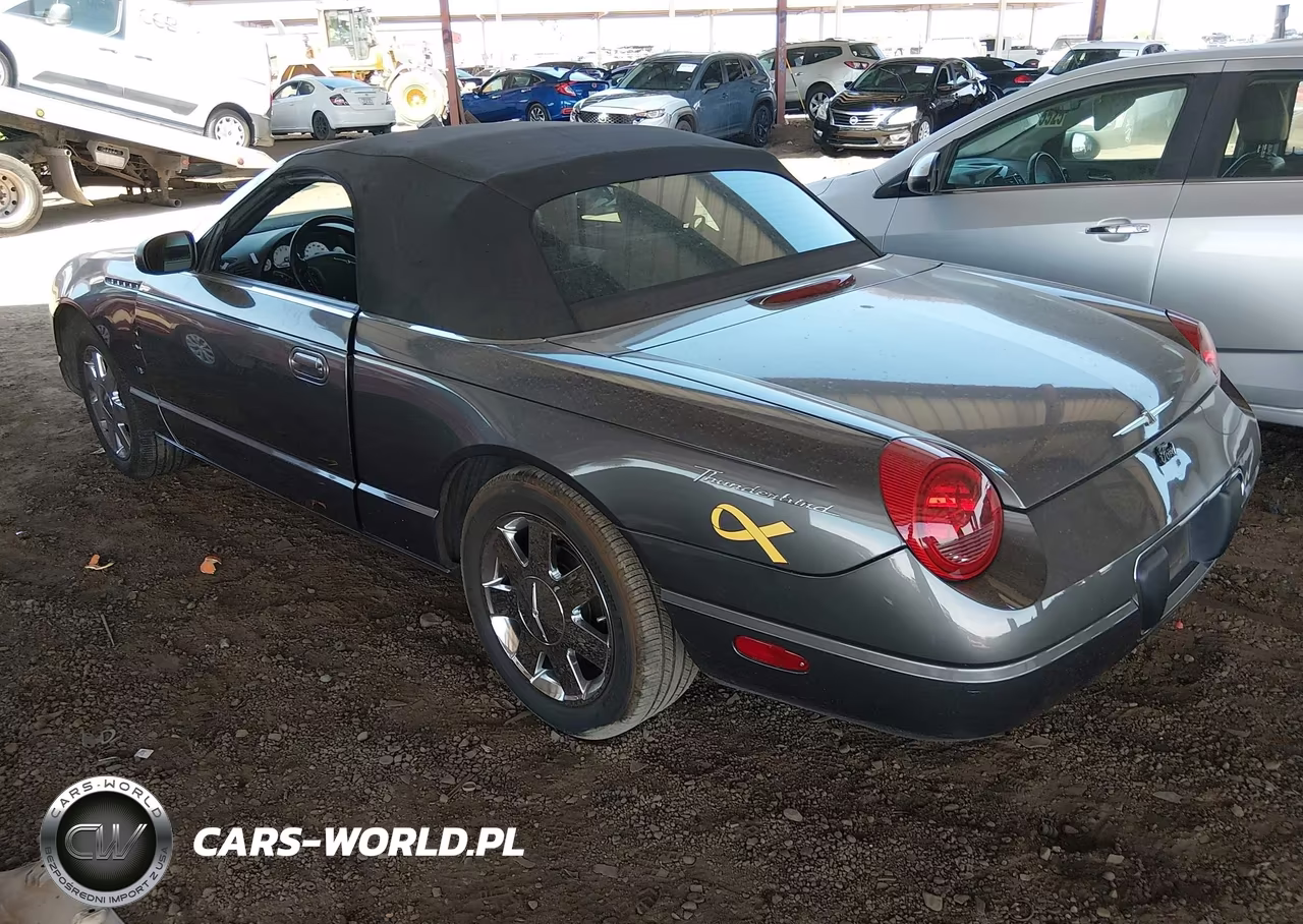 2003 Ford Thunderbird VIN:1FAHP60A33Y107727 - 3