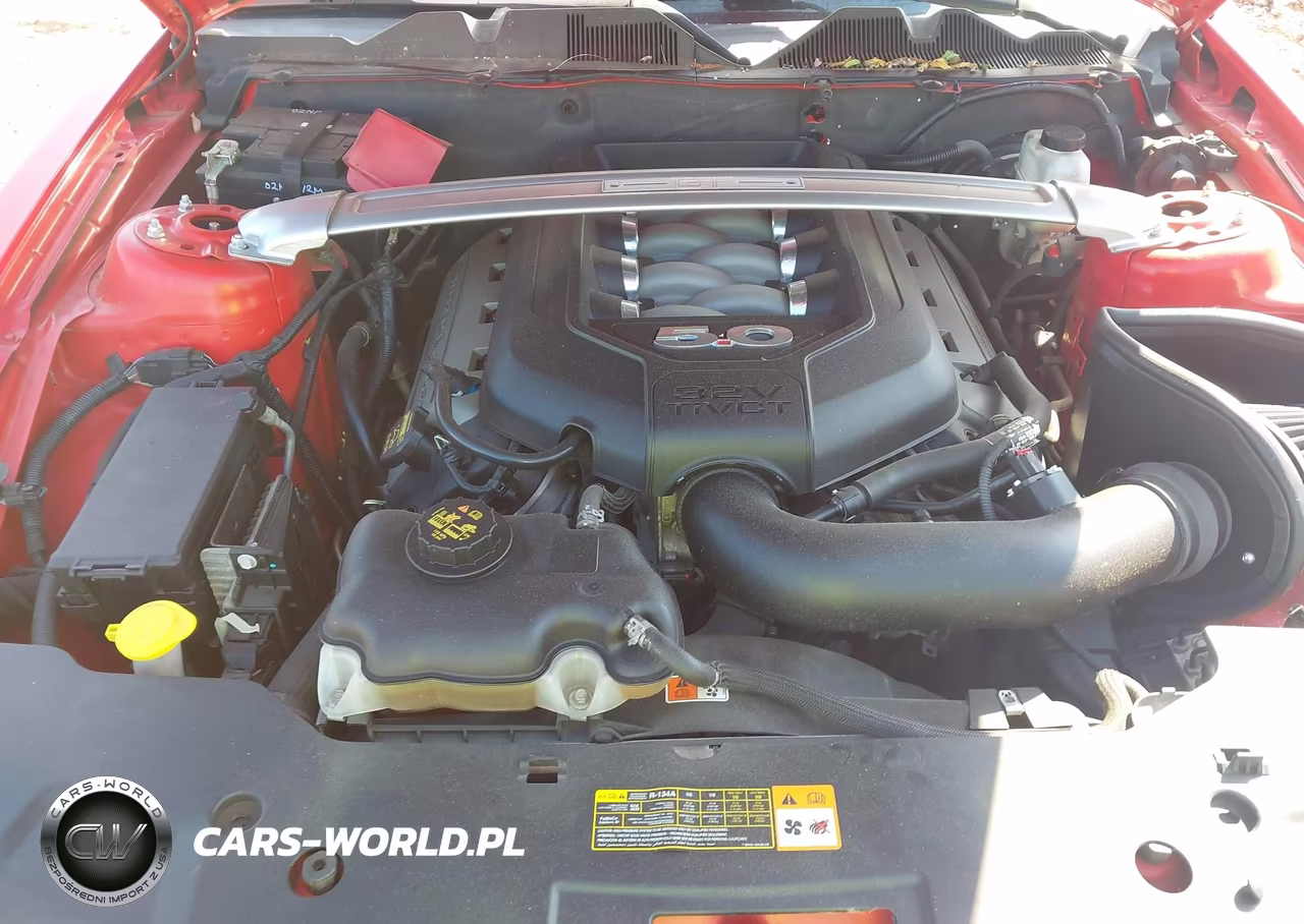 2011 Ford Mustang Gt Premium VIN:1ZVBP8CF2B5124812 - 10