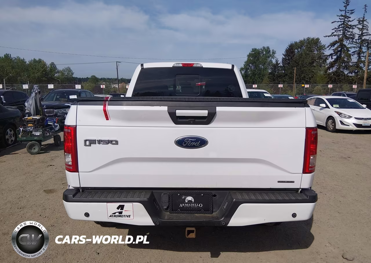 2016 Ford F-150 Xlt VIN:1FTFW1EF2GKF01076 - 17
