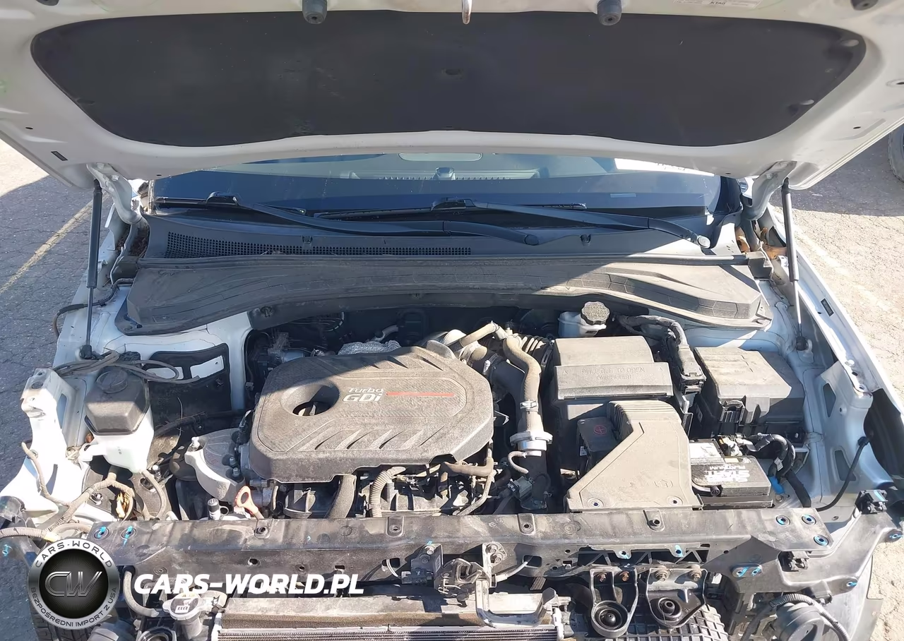 2019 Hyundai Santa Fe Limited 2.0T VIN:5NMS53AA1KH051478 - 10