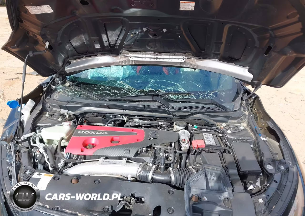2019 Honda Civic Type R Touring VIN:SHHFK8G71KU206016 - 10