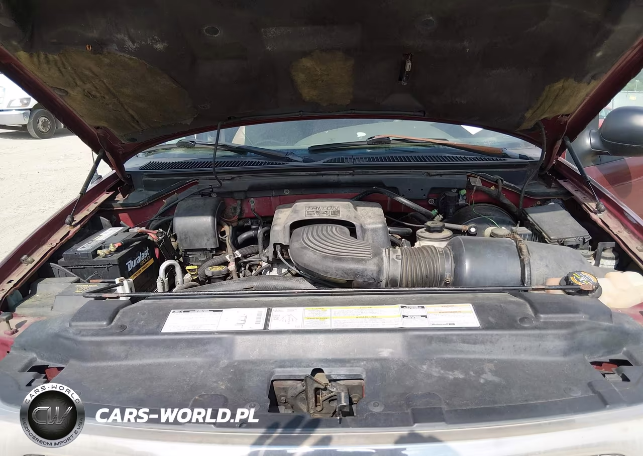 1999 Ford Expedition Eddie Bauer-Xlt VIN:1FMPU18LXXLB78526 - 10