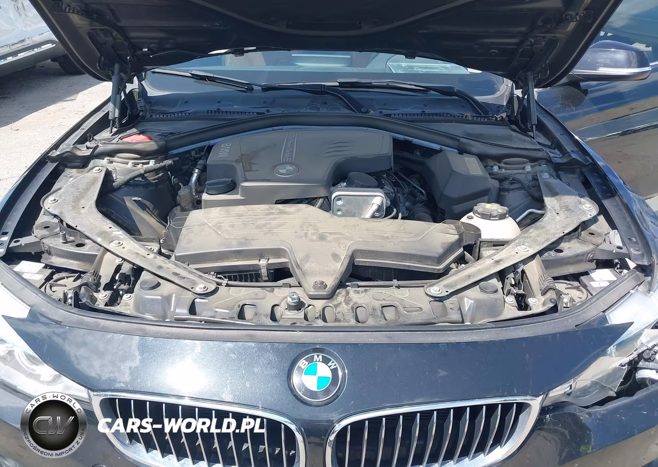 2016 BMW 428I VIN:WBA3V7C51G5A26215 - 10