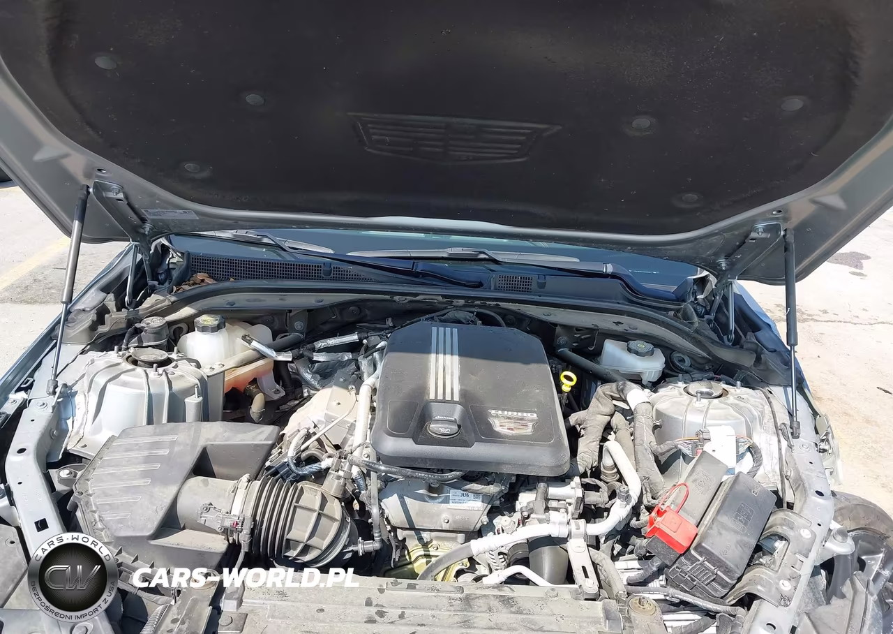 2024 Cadillac Ct5 Sport VIN:1G6DP5RK3R0115450 - 10