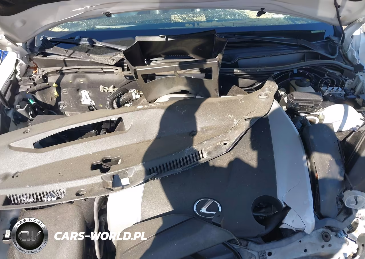 2017 Lexus Is 300 VIN:JTHCM1D27H5016583 - 10