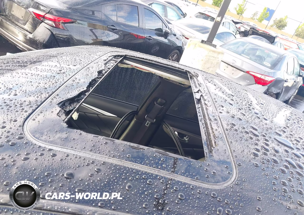 2019 Infiniti Q50 3.0T Sport VIN:JN1EV7AP4KM540350 - 16