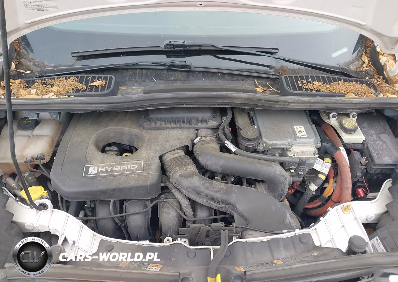 2014 Ford C-Max Hybrid Se VIN:1FADP5AU7EL509302 - 10