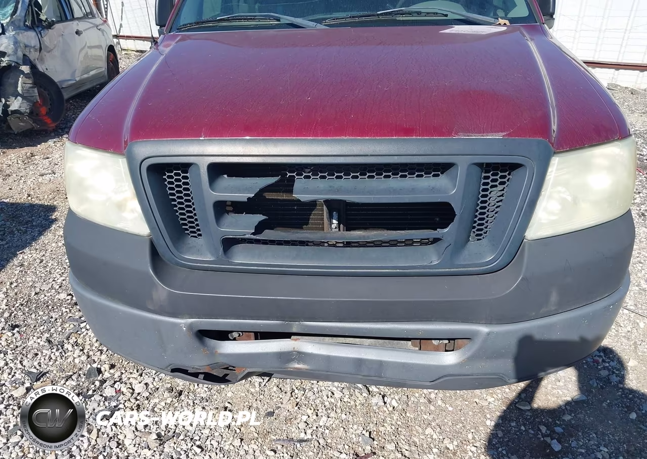 2006 Ford F-150 Stx-Xl-Xlt VIN:1FTRX12W46KD70164 - 6