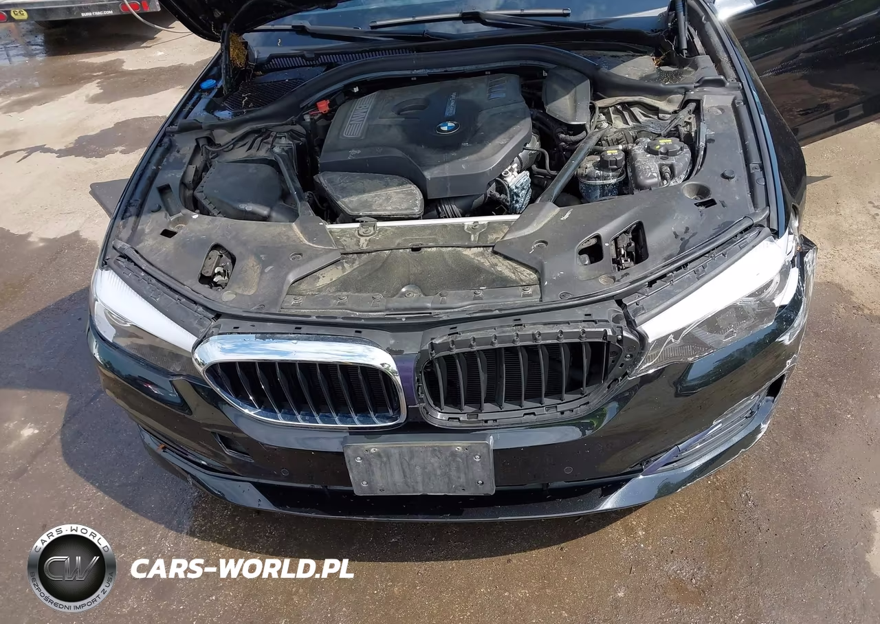 2018 BMW 530I xDrive VIN:WBAJA7C51JWA72678 - 10