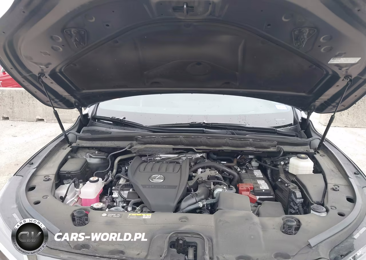 2024 Lexus Rx 350 Premium Plus VIN:2T2BAMBA3RC028067 - 10