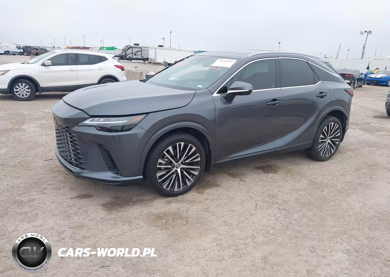 2024 Lexus Rx 350 Premium Plus VIN:2T2BAMBA3RC028067 - 14