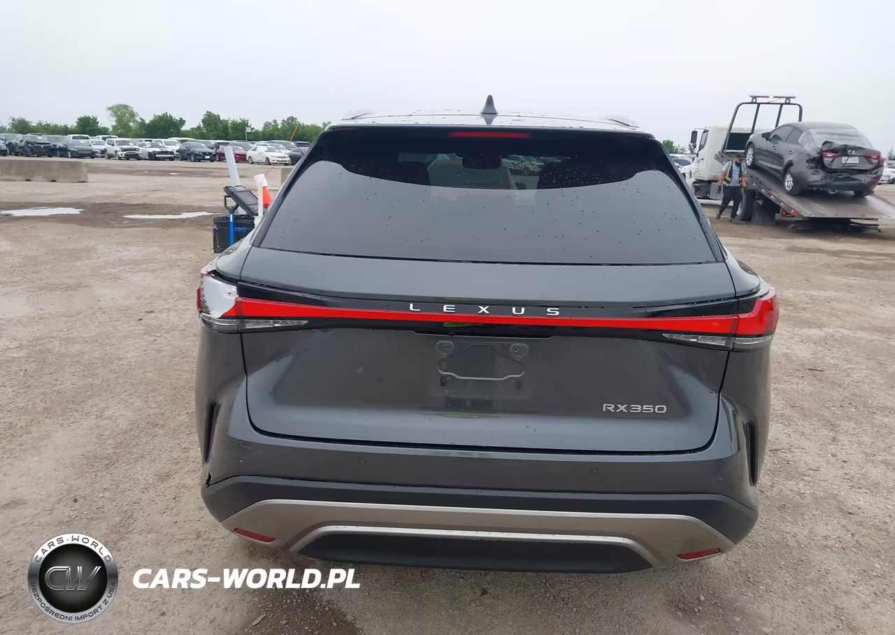 2024 Lexus Rx 350 Premium Plus VIN:2T2BAMBA3RC028067 - 16