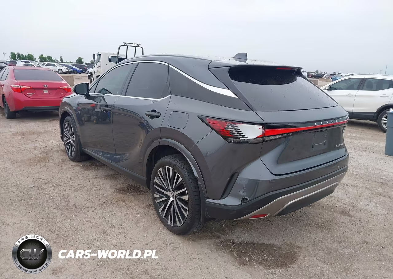 2024 Lexus Rx 350 Premium Plus VIN:2T2BAMBA3RC028067 - 3