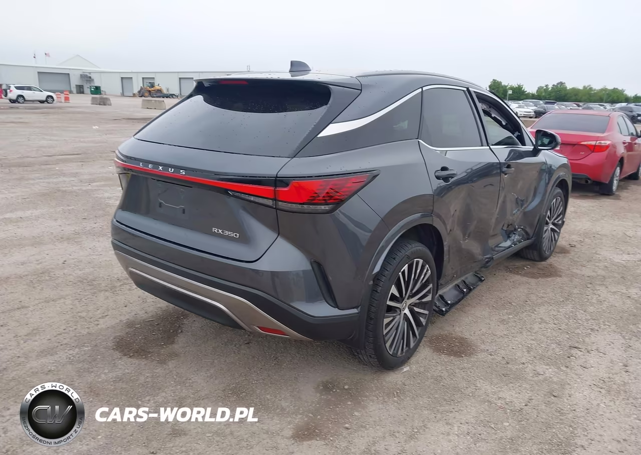 2024 Lexus Rx 350 Premium Plus VIN:2T2BAMBA3RC028067 - 4