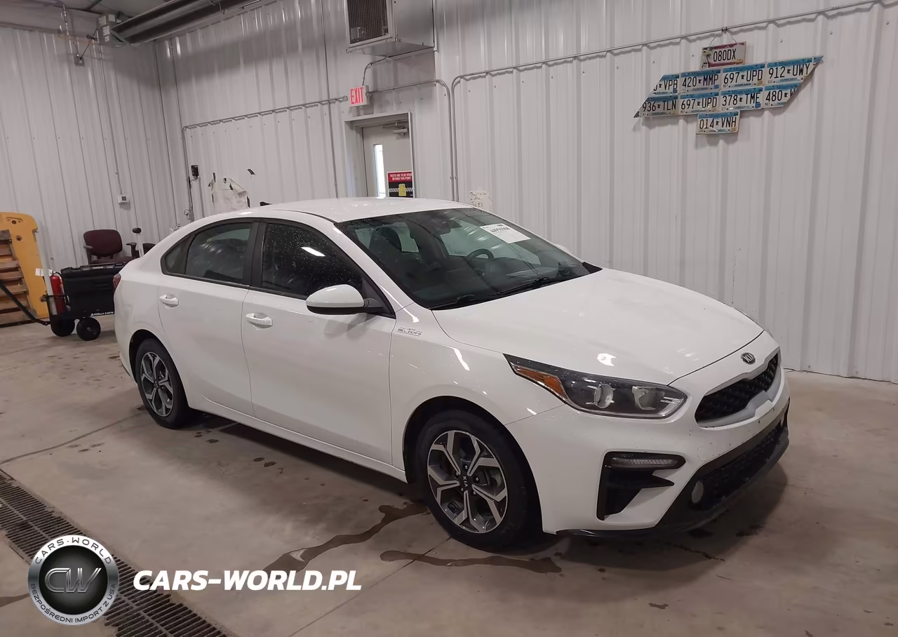 2019 Kia Forte Lxs