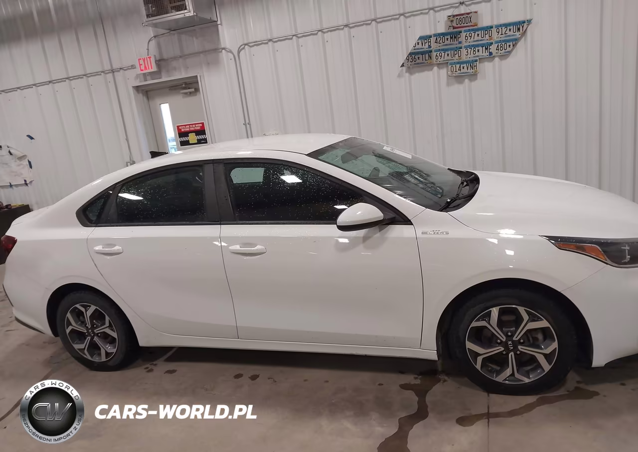 2019 Kia Forte Lxs VIN:3KPF24AD9KE068157 - 13