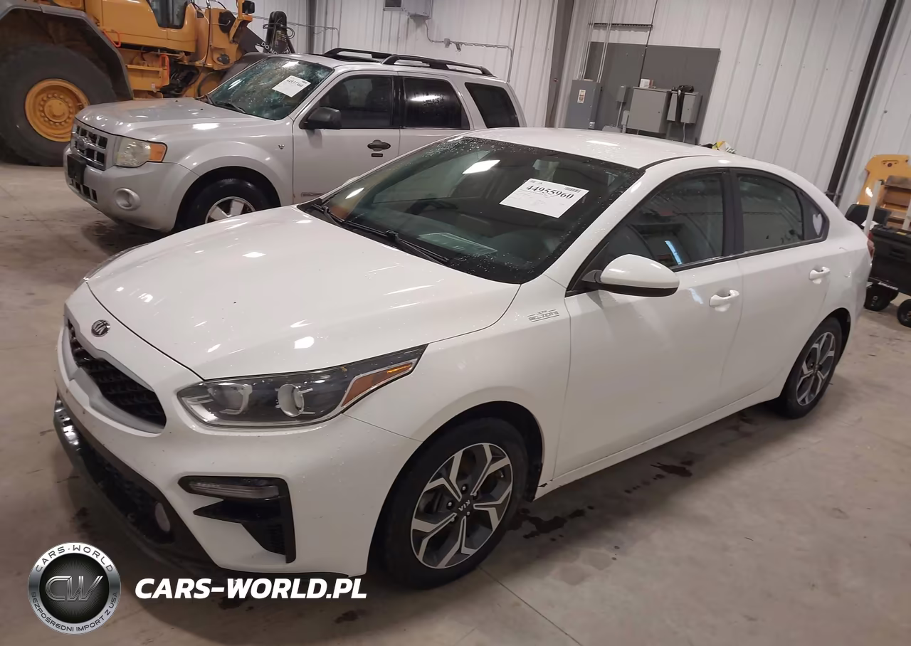 2019 Kia Forte Lxs VIN:3KPF24AD9KE068157 - 2