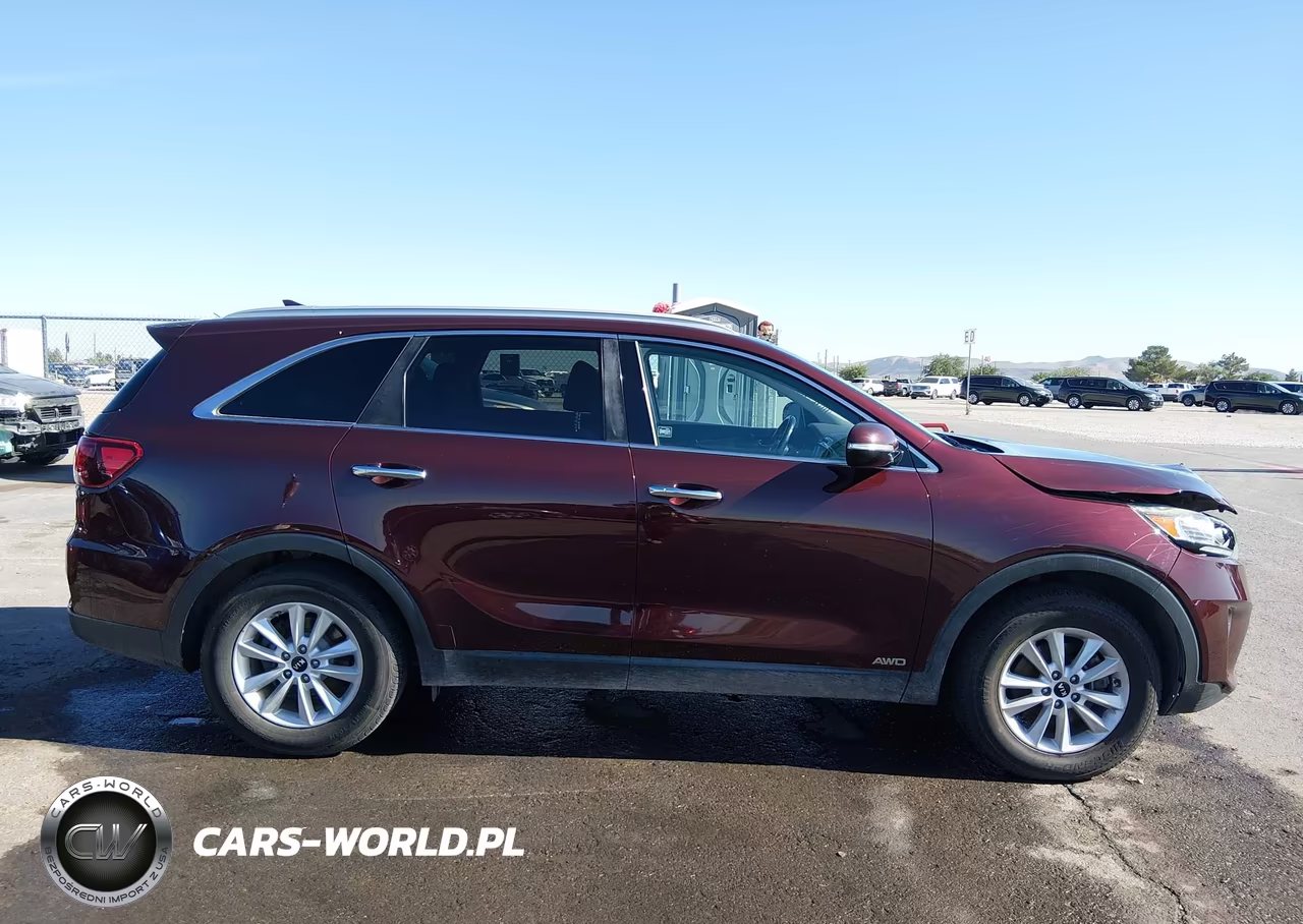 2019 Kia Sorento 2.4L Lx VIN:5XYPGDA37KG590981 - 13
