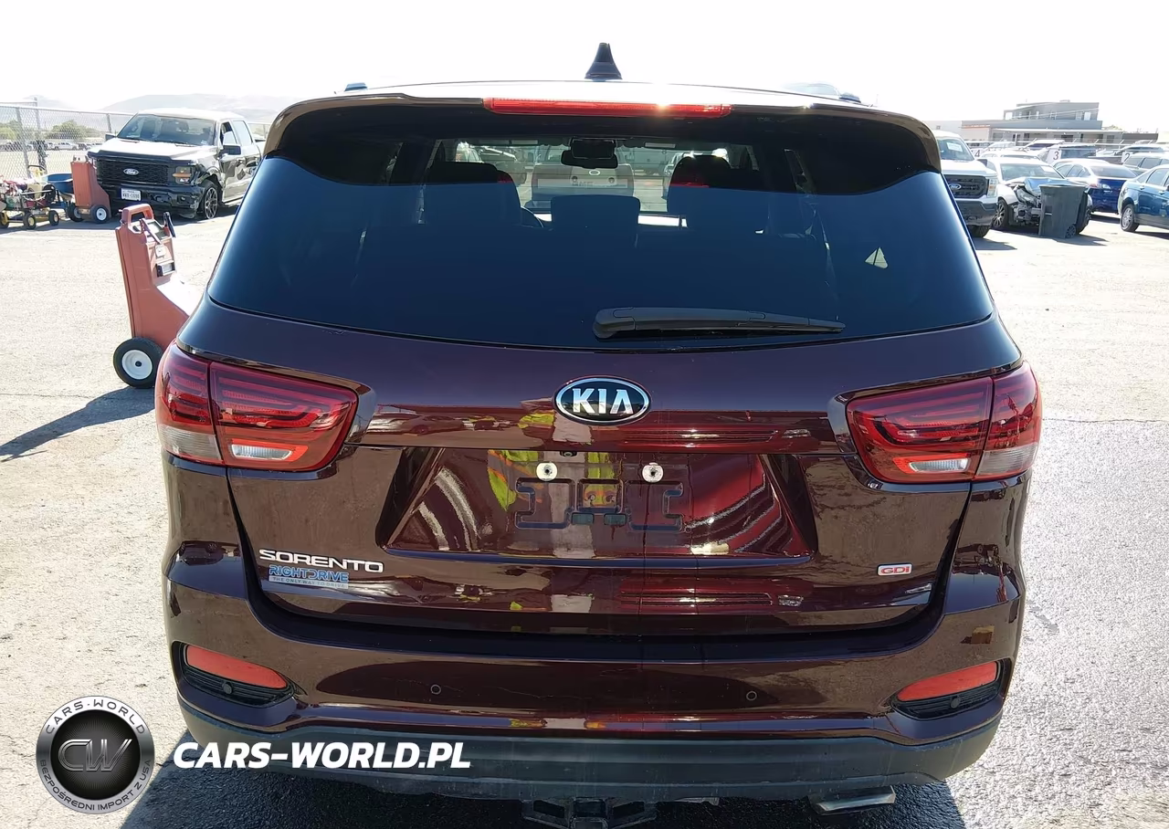 2019 Kia Sorento 2.4L Lx VIN:5XYPGDA37KG590981 - 16