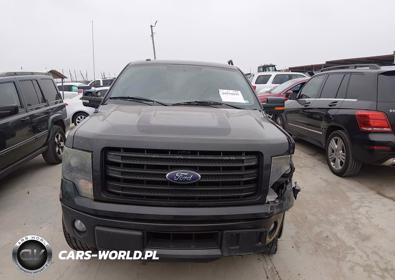 2014 Ford F-150 Fx4 VIN:1FTFW1ET8EFA70125 - 12